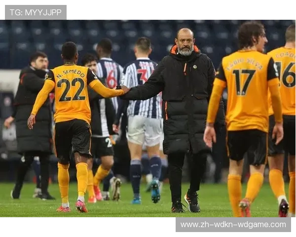 英超西布朗维奇球队历史与现状